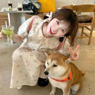 彗星来的那一夜第二季